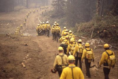 Can 'Moneyball' Fix How The West Manages Wildfire?