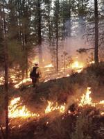 Lightning sparks Taylor Butte Fire