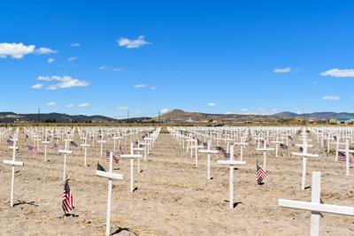 han-20201307- field of crosses.jpg