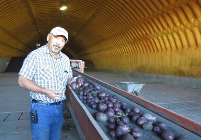 Wong Potatoes contained COVID-19 outbreak in April