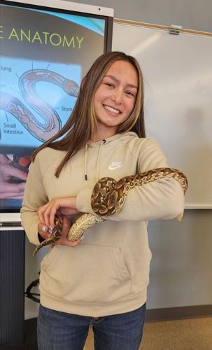 oit animals - Student studying snake anatomy.jpg