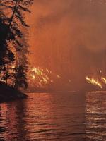 100 human-caused wildfires since June